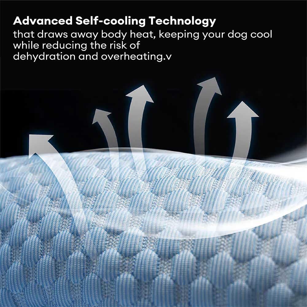 FUNNY FUZZY Cooling Orthopedic Dog Bed XL | Washable | Blue