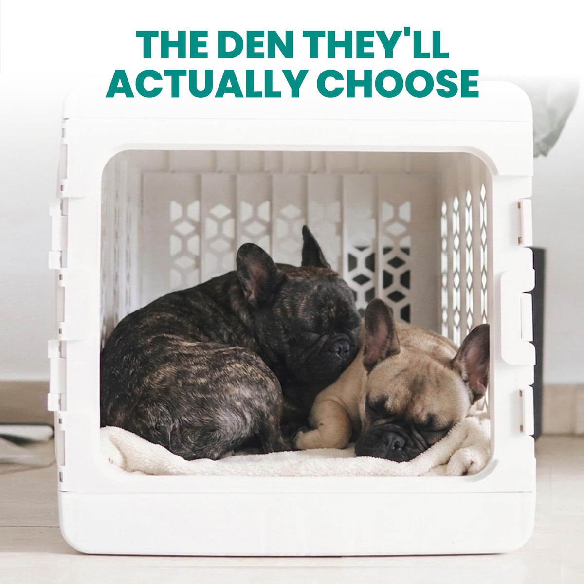 KindTail PAWD Collapsible Dog Crate | Medium | 15–25 lbs | White