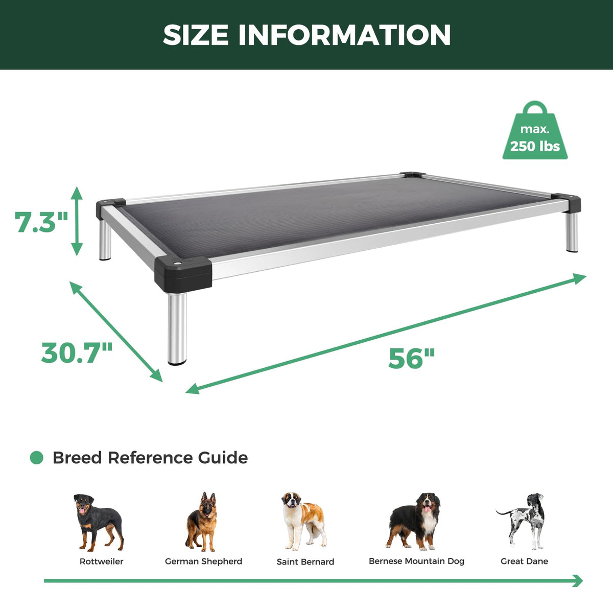 FXW TitanNest Chew-Proof Elevated Dog Bed XL 56x31" | Gray