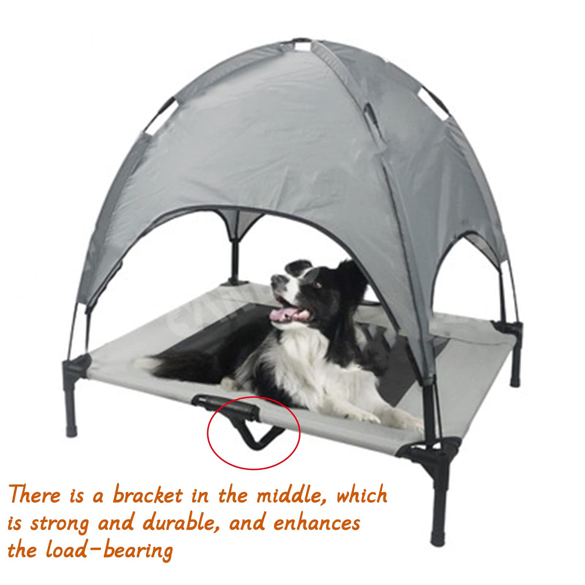 Elevated Outdoor Dog Camping Bed with Roof | Portable Cot