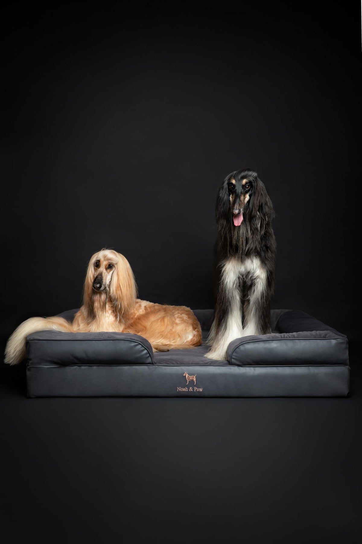 NOAH & PAW XXL Orthopedic Dog Bed | Cooling Gel Foam 55x45"