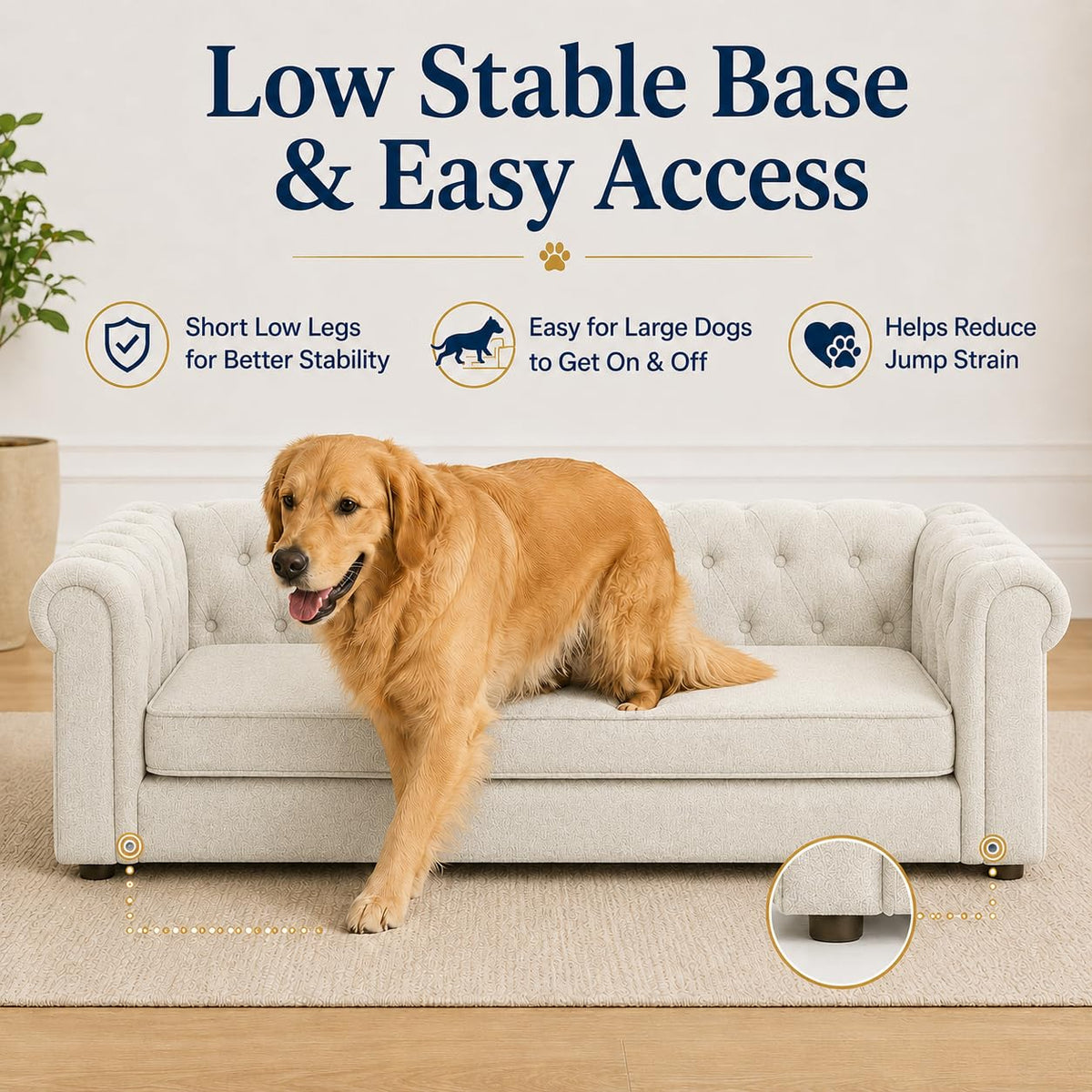 GreatCho Large Dog Sofa 55"x26.5" | Oversized Pet Couch | Beige