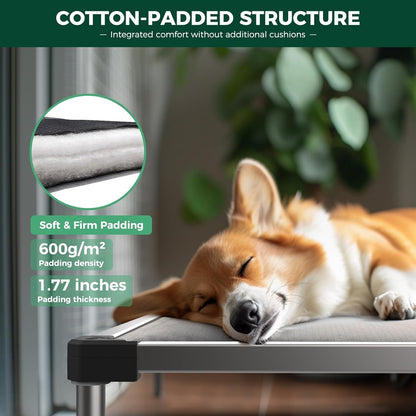 FXW TitanNest Chew-Proof Elevated Dog Bed XL 56x31" | Gray