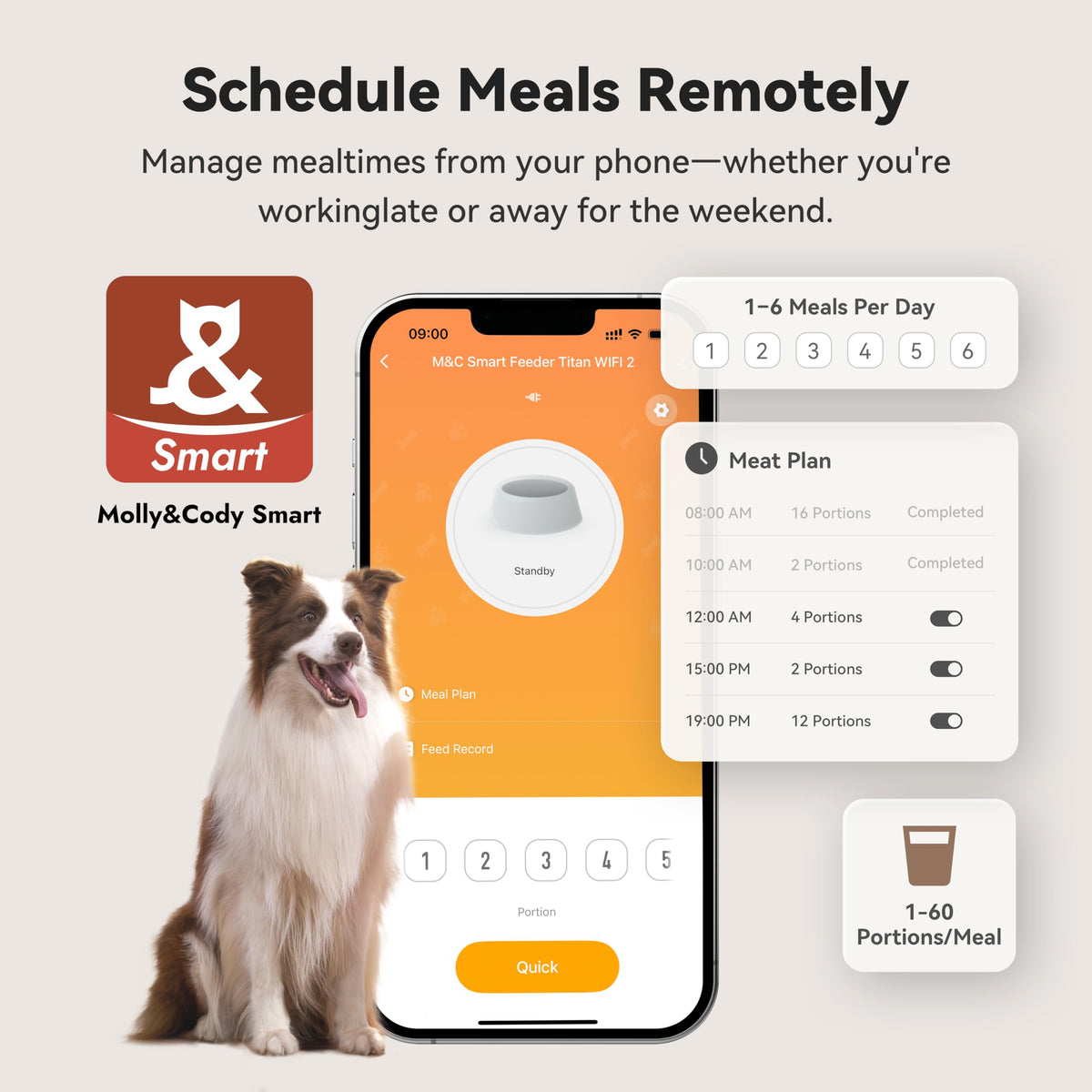 MOLLY&CODY 14L Auto Dog Feeder | WiFi App, Stainless Bowl