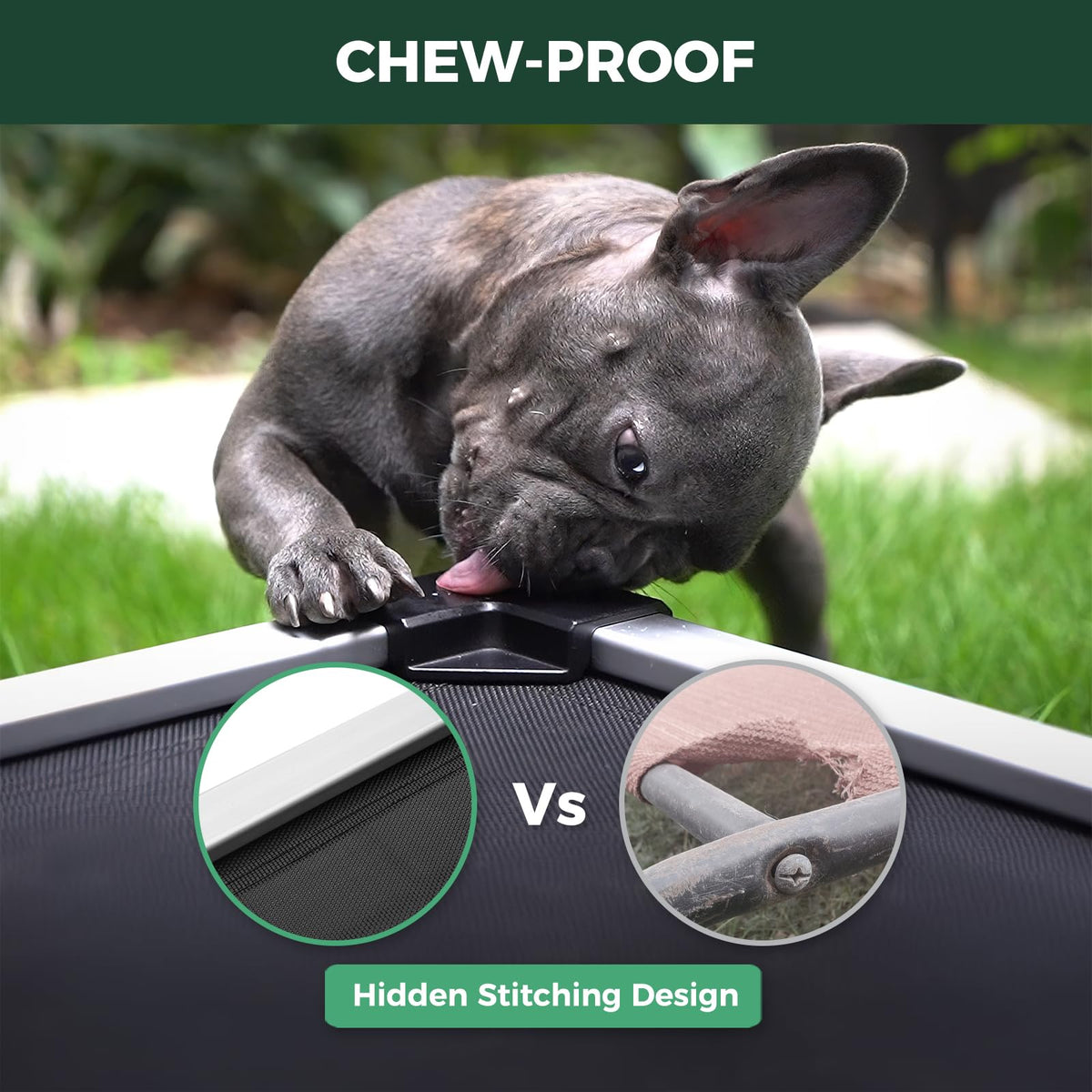 FXW TitanNest Chew-Proof Elevated Dog Bed XL 56x31" | Black