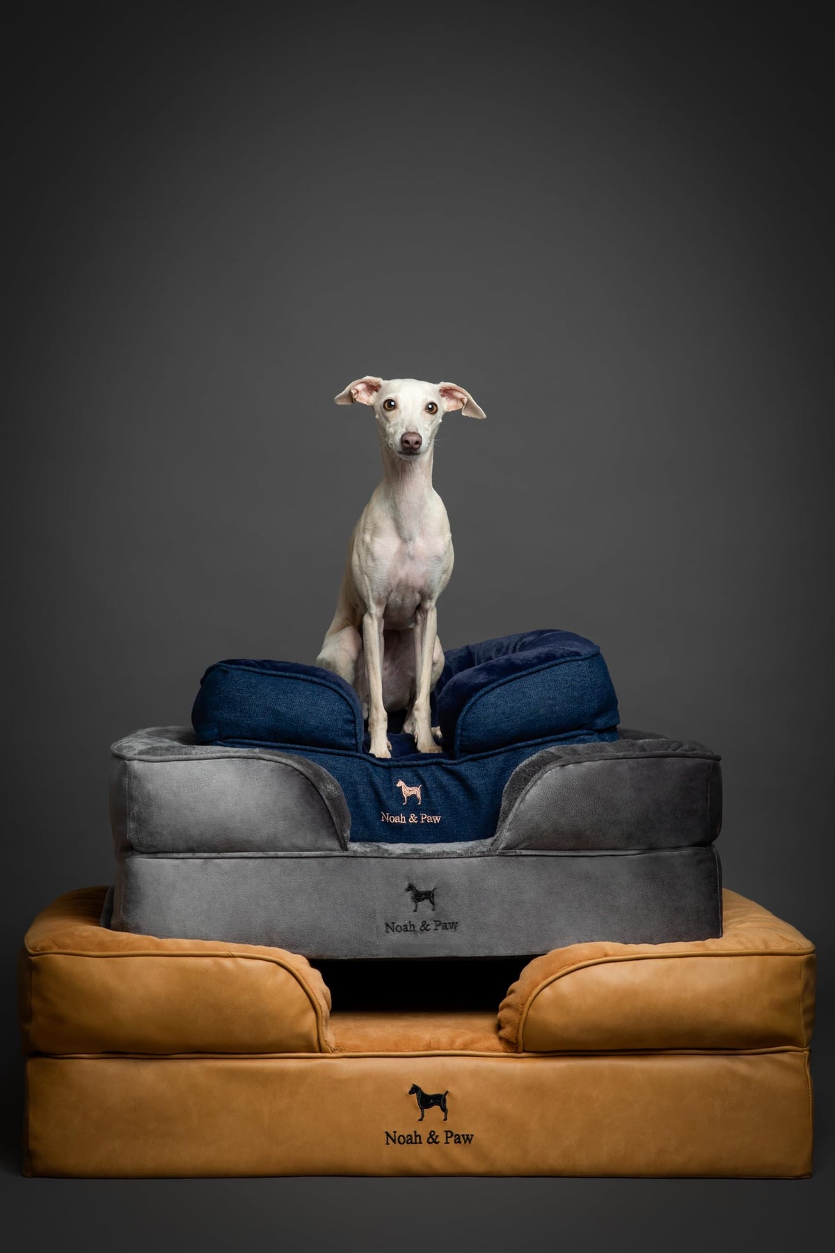 NOAH & PAW XXL Orthopedic Dog Bed | Cooling Gel Foam 55x45"