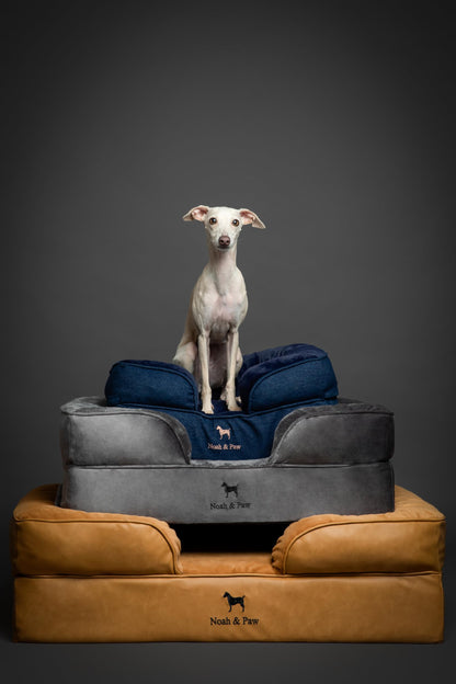 NOAH & PAW XXL Orthopedic Dog Bed | Cooling Gel Foam 55x45"