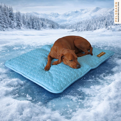 Pelsbarn Ice Silk Self-Cooling Dog Mat | Large, Non-Slip