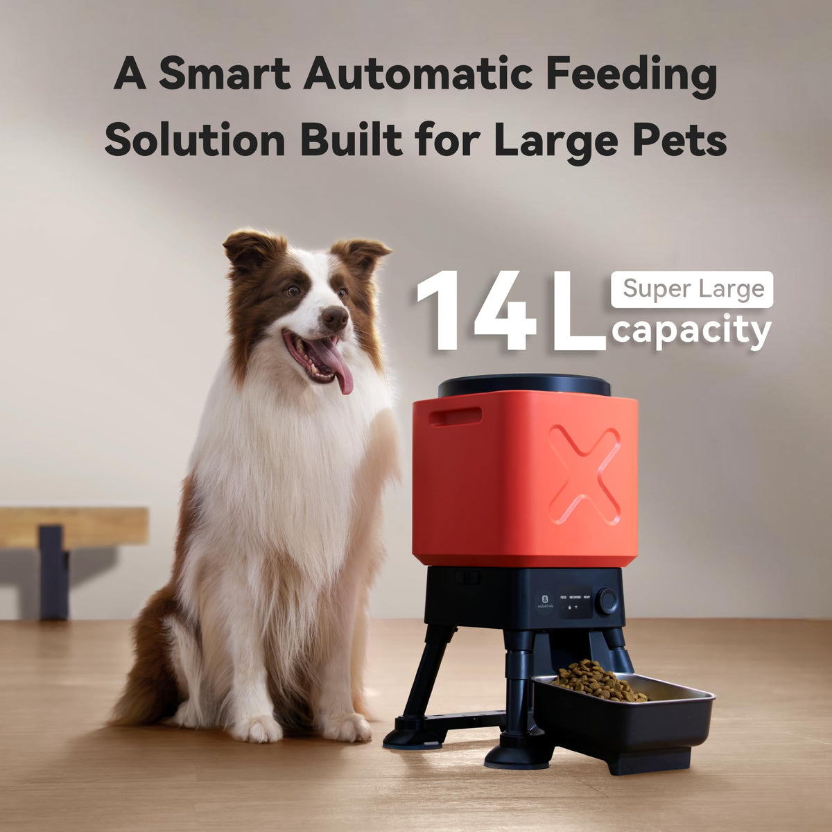 MOLLY&CODY 14L Auto Dog Feeder | WiFi App, Stainless Bowl