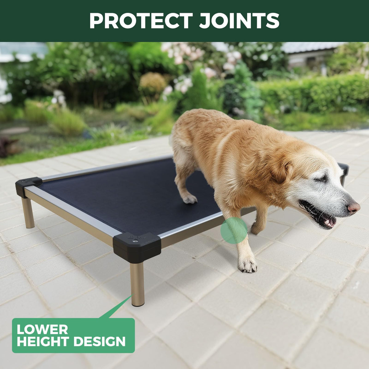 FXW TitanNest Chew-Proof Elevated Dog Bed XL 56x31" | Black
