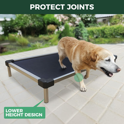 FXW TitanNest Chew-Proof Elevated Dog Bed XL 56x31" | Black