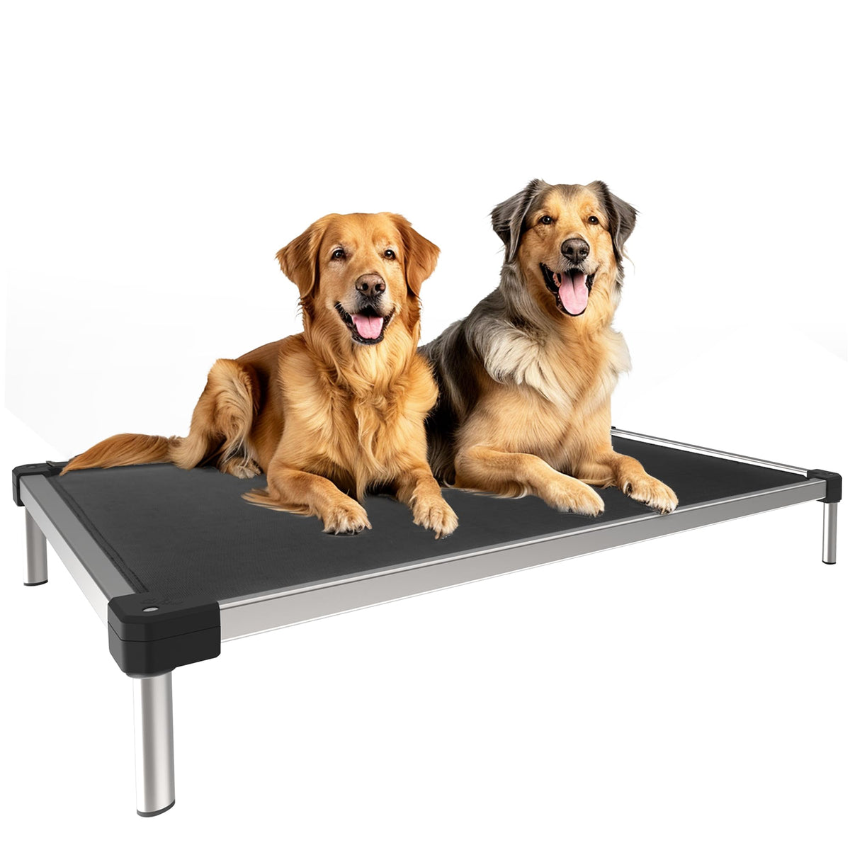 FXW TitanNest Chew-Proof Elevated Dog Bed XL 56x31" | Black