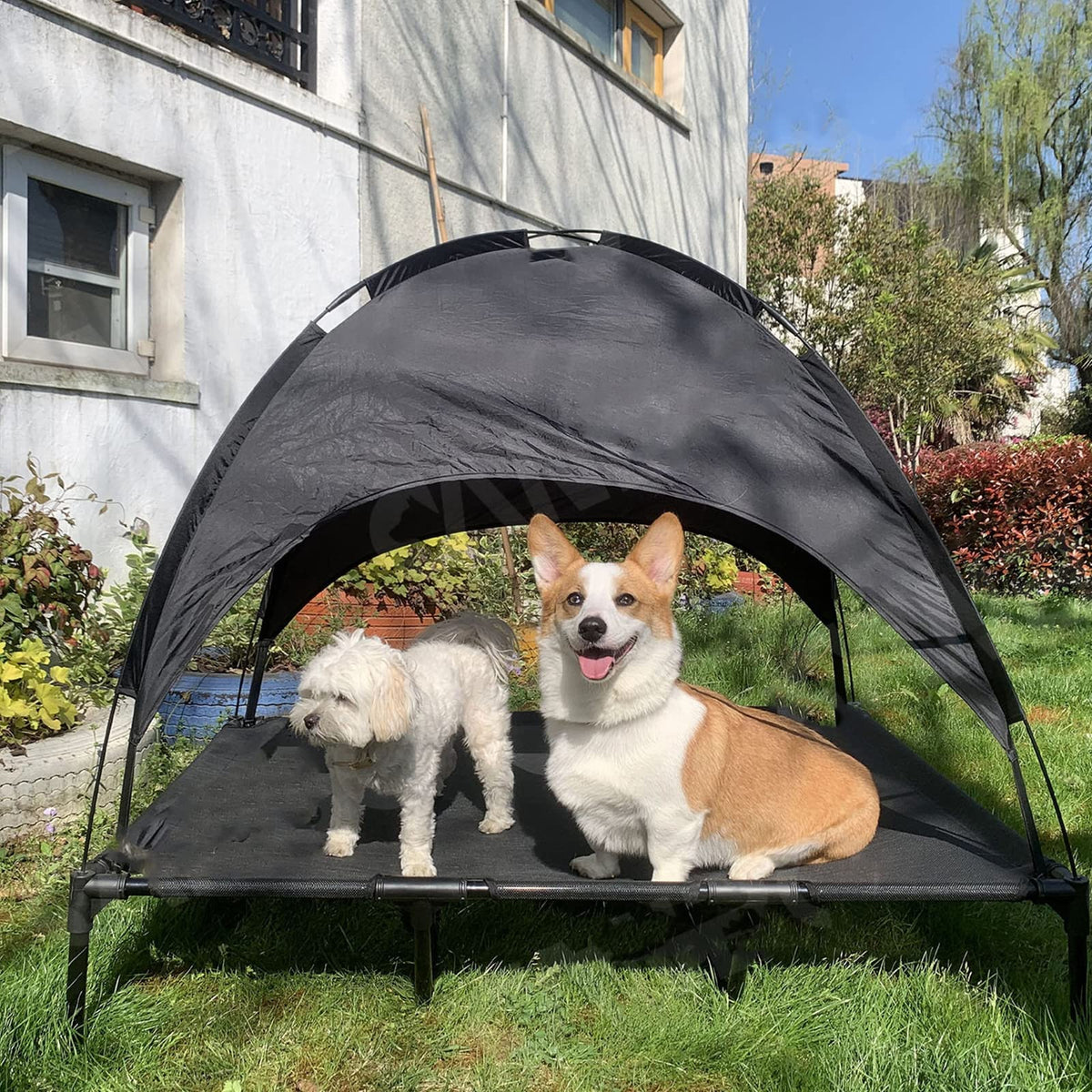 Elevated Outdoor Dog Camping Bed with Roof | Portable Cot