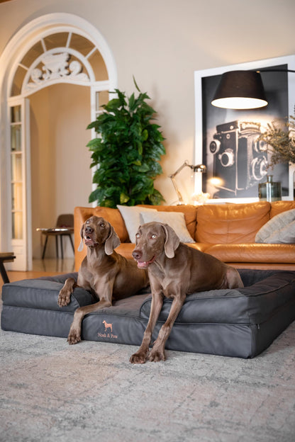 NOAH & PAW XXL Orthopedic Dog Bed | Cooling Gel Foam 55x45"