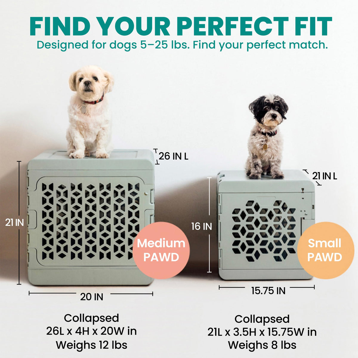 KindTail PAWD Collapsible Dog Crate | Medium | 15–25 lbs | White