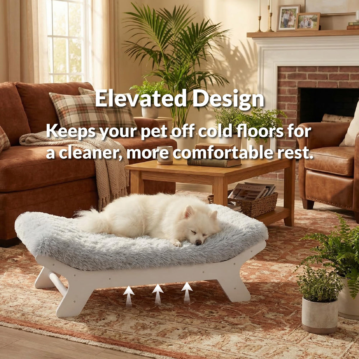 Muihood Elevated Wooden Dog Bed with Foam Mattress | XL