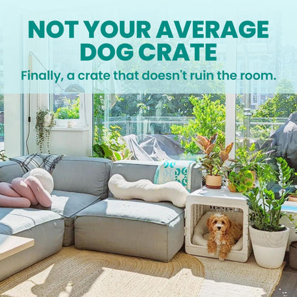 KindTail PAWD Collapsible Dog Crate | Medium | 15–25 lbs | White