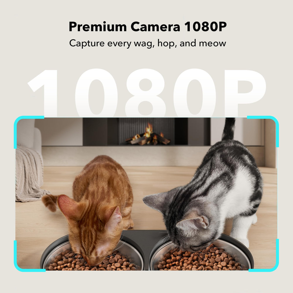 PETLIBRO 5L Auto Pet Feeder with 1080P Camera | 5G WiFi