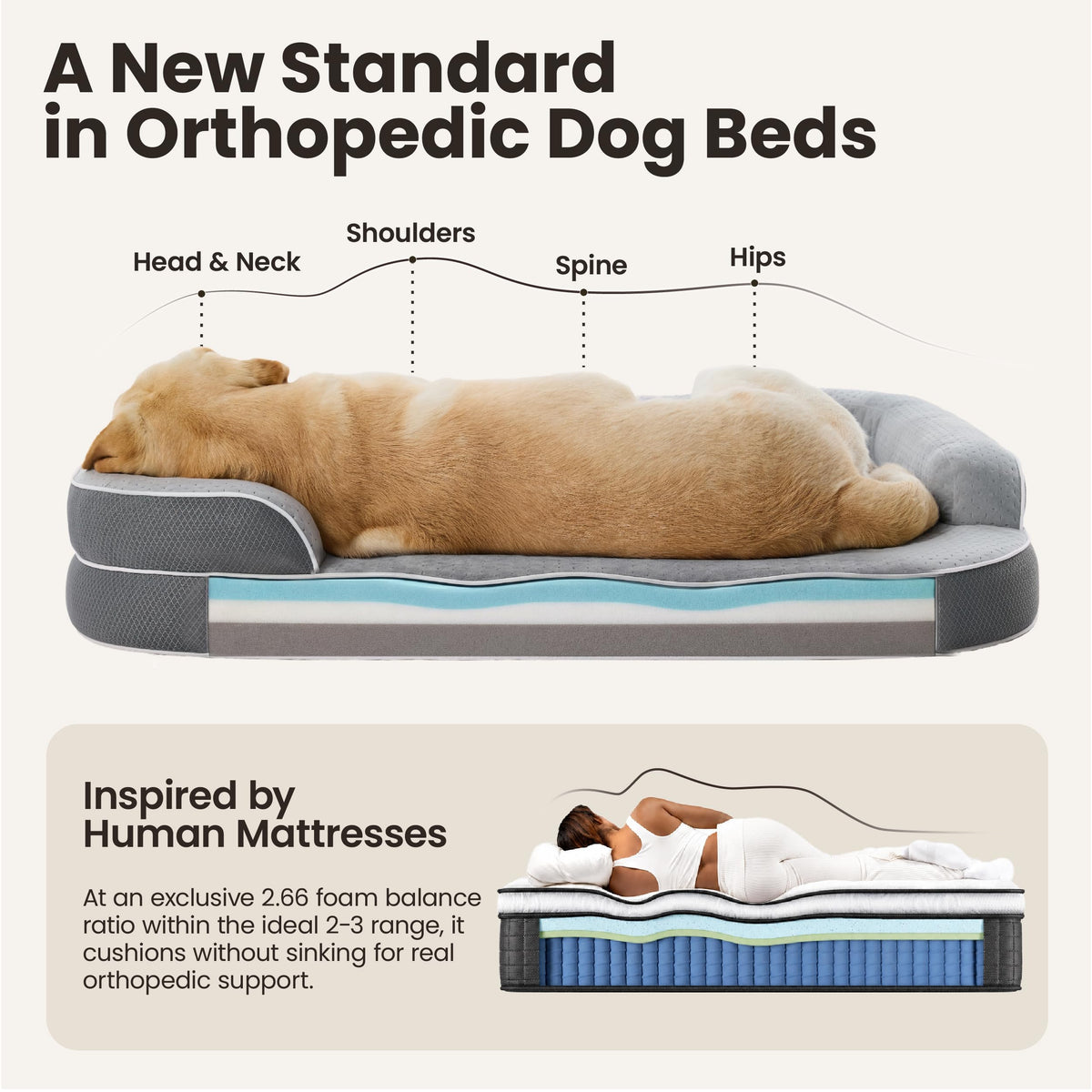 LE SURE RealOrtho XL Plus Orthopedic Dog Bed | Extra Large | Grey