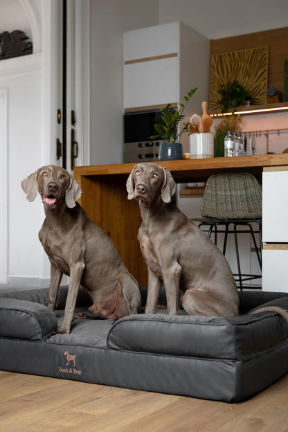 NOAH & PAW XXL Orthopedic Dog Bed | Cooling Gel Foam 55x45"
