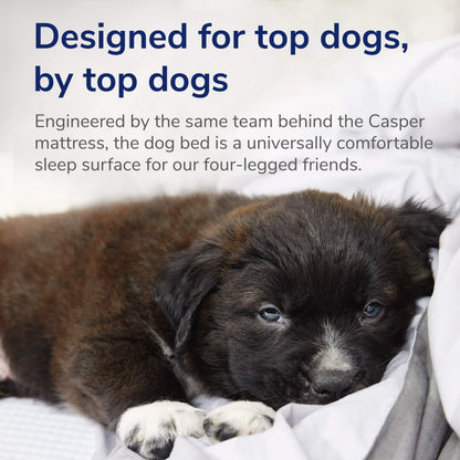 Casper Dog Bed | Plush Memory Foam | Large | Gray